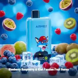Airmez-FOX-2IN1-PRO 02
