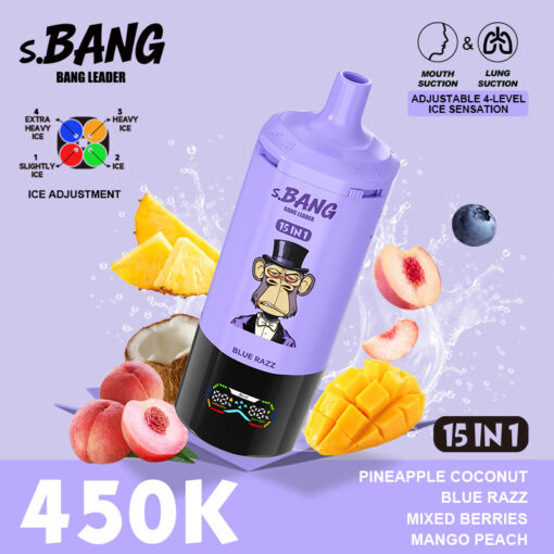 Bang Leader 450K 15 IN 1