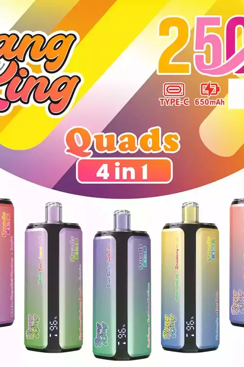 BANG KING 250K